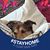 Jennifer D'Amore's profile image