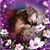 Candace Jones Hinchey's profile image