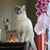 Daphne Charlene Wilson's profile image
