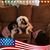 Francine Rosati Kirchel's profile image