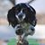 Teresa Doucette's profile image