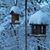 Cynthia Ruppe's profile image