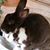 Lisa Davenport's profile image