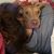 Ellery Talmo's profile image