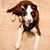 Nancy Ellman Frager's profile image