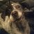 Christopher J Tomaso's profile image