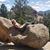 Taylor Nichole Murray's profile image