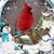 Carol Brandle Oberly's profile image