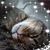 Darlene Burkhardt's profile image