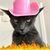 Philippe Pépin's profile image