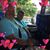 Linda Sweetman Dawson's profile image