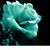 Mariah Joy's profile image