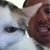 Sean Smith's profile image