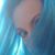 Sharron Grzybowski's profile image