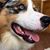 Amelia Adkins's profile image