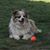 Kathleen Couch Moreland's profile image