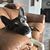 Vickie Wareing Wesler's profile image