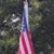 Alan Stern's profile image