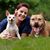Allison Dunne Right's profile image