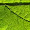 W. S.'s profile image