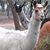 Jane McBride's profile image