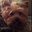 Bekki F's profile image