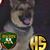 Spike Christensen's profile image