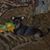 Phyllis Renae Allen's profile image