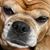 Keith Thurston's profile image