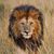 Judi Warner Smith's profile image
