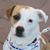 Kelly Gallo's profile image