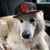 Andrew Becker's profile image