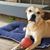 Mindy Bradburn's profile image