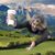 Heidi Essex Hill's profile image