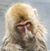 Lonnie D. Johnson's profile image