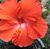 Marge Glenny's profile image