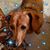 Sue Sannes's profile image