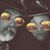Donna Butler Pierce's profile image
