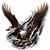 Chris Lueders's profile image