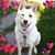 Betty Schoonover's profile image