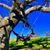 Pamela Hirsh's profile image