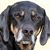 Mauri Taylor's profile image