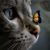 Jennifer Simons Cannan's profile image