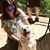 Kristal Thakkar's profile image