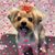 Janette Flanary's profile image