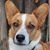 Sarah Stockton Lind's profile image