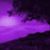 Terri Lee Morganti's profile image
