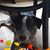 Jennifer Sutter Gordon's profile image