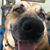 Julie Beachy's profile image