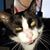 Misti Sorrento's profile image